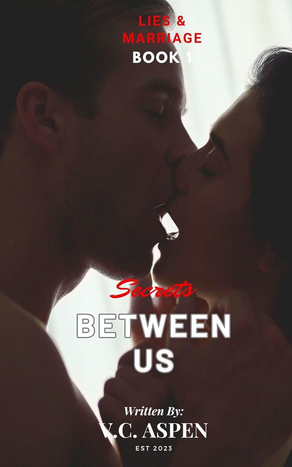 very cruel aspen's novel cover of secrets between us